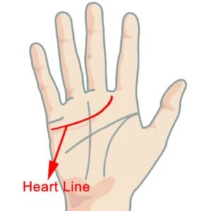 Meaning of Love line in Palmistry based on its Length(1)