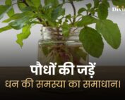 Vedic remedies plant roots