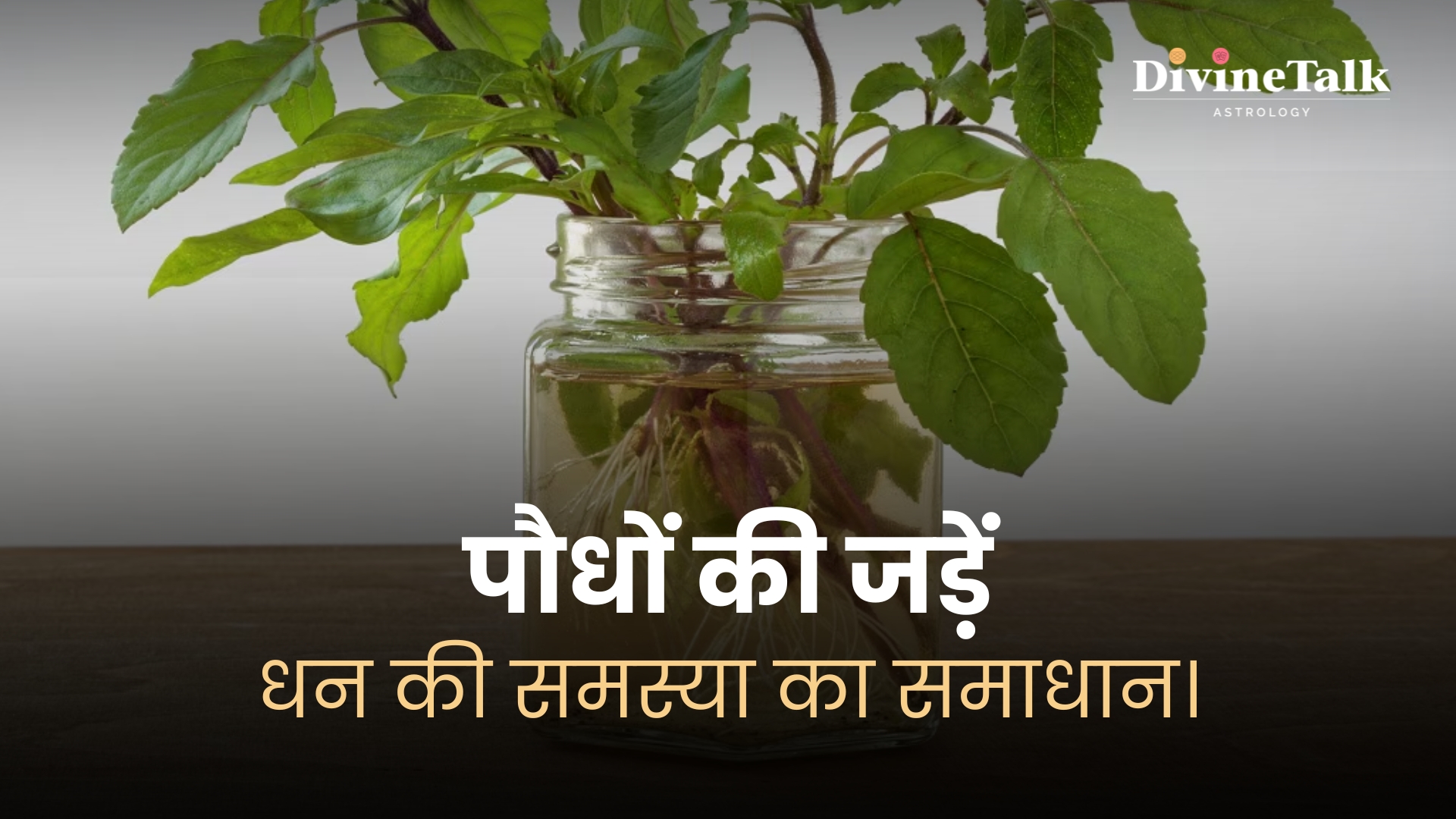 Vedic remedies plant roots